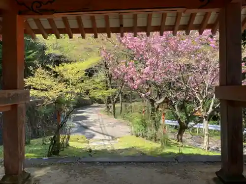 海住山寺(京都府)