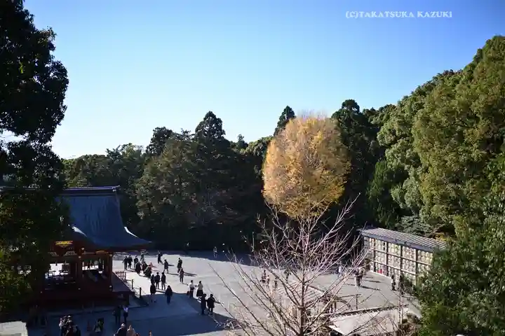 鶴岡八幡宮の景色