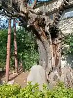 延命院の{uncategorized: "未分類", other: "その他", undefined: "問題あり", building: "その他建物", grave: "お墓", sacred_gate: "鳥居", guardian: "狛犬", statue: "像", buddha: "仏像", history: "歴史", nature: "自然", garden: "庭園", animal: "動物", pagoda: "塔", temizu: "手水舎", mountain_gate: "山門・神門", sanctuary: "本殿・本堂", subordinate: "末社・摂社", art: "芸術", scenery: "景色", jizo: "地蔵", ema: "絵馬", goshuin: "御朱印", omikuji: "おみくじ", items: "授与品その他", amulet: "お守り", goshuincho: "御朱印帳", eats: "食事", festival: "お祭り", votive_dance: "神楽", shichigosan: "七五三参", wedding: "結婚式", experience: "体験その他", initially: "初詣", around: "周辺", anti_infection: "感染症対策"}