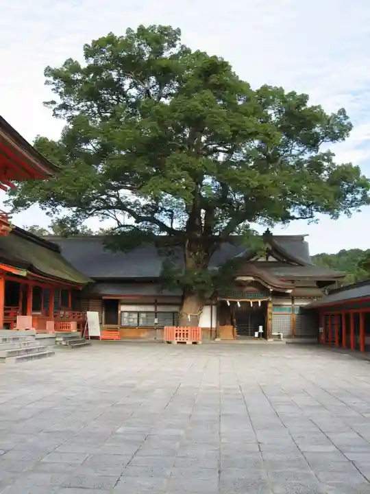 宇佐神宮の自然