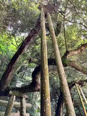 鹿島神宮(茨城県)