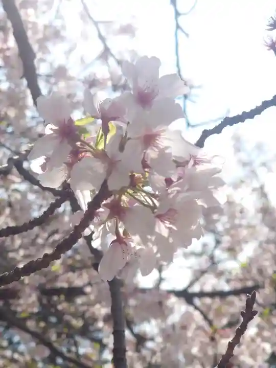 平塚三嶋神社(神奈川県)