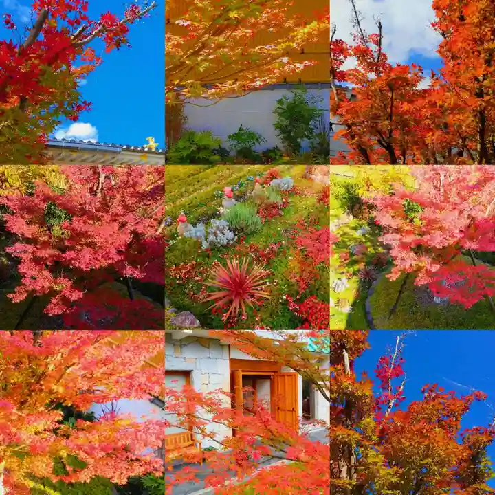 寿量山 速成寺の自然