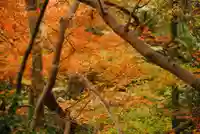 大鳥羽神社(山口県)