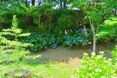 天台宗　長窪山　正覚寺(神奈川県)