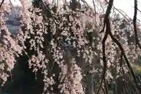 上石不動堂の自然