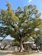 與止日女神社(佐賀県)