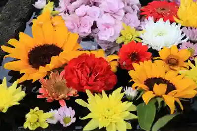 大鏑神社の手水舎