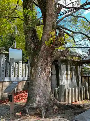 水尾神社の自然