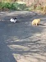 稲荷神社(今福町)(栃木県)