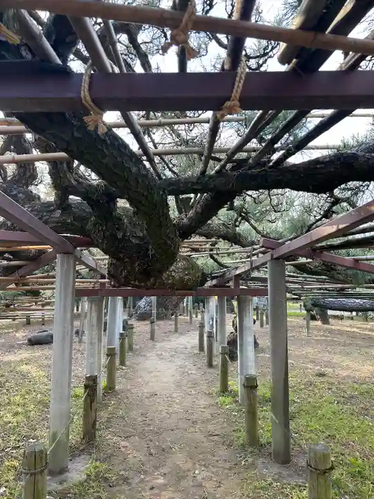 菅原神社(群馬県)
