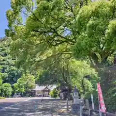 岐阜護國神社(岐阜県)