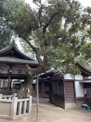 大山咋神社(兵庫県)