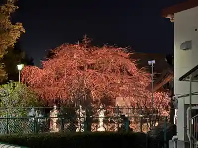 観音神社(広島県)