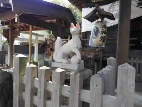 隅田稲荷神社の狛犬