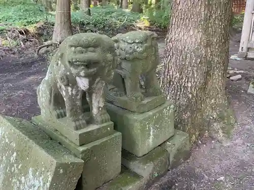 七崎神社の狛犬