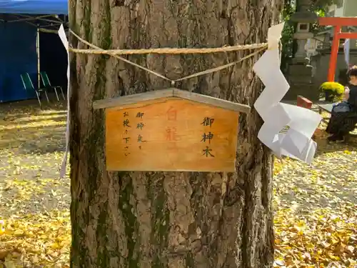 田無神社の自然