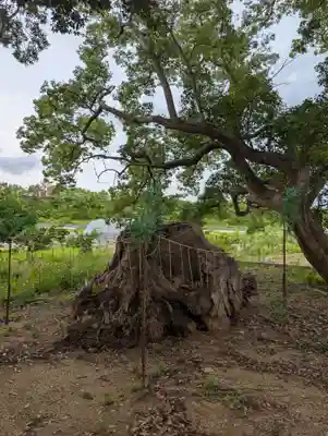 大宮八幡神社(香川県)