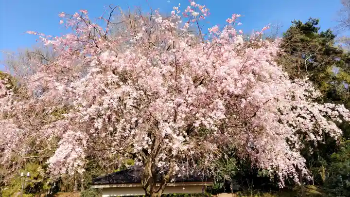 浮島辨財天(群馬県)
