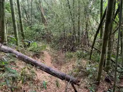 琴平神社の周辺