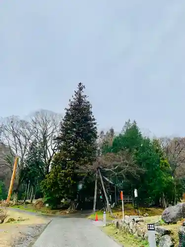 諏訪大社上社前宮(長野県)