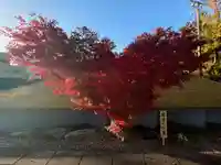 伊勢の国 四天王寺(三重県)