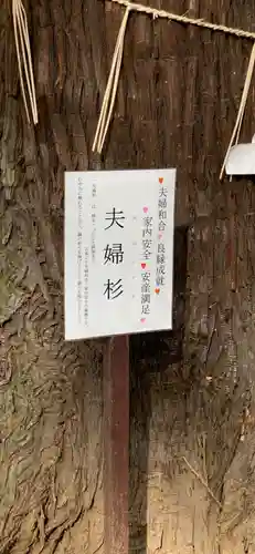 東蕗田天満社の自然