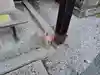 城山稲荷神社の狛犬