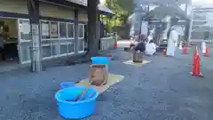 伊勢山皇大神宮のお祭り