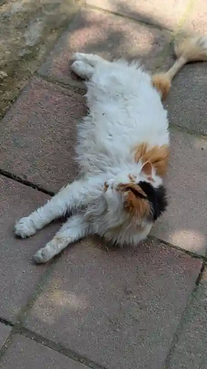 阿邪訶根神社(福島県)