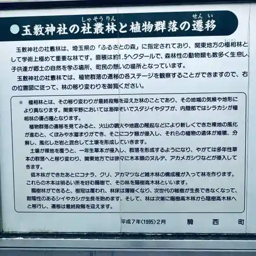 玉敷神社(埼玉県)