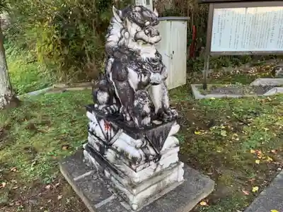 諏訪神社の狛犬