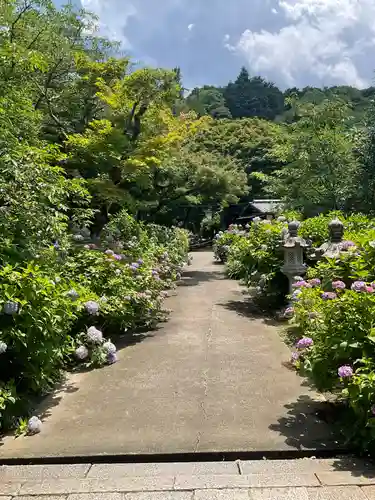 観音寺(京都府)
