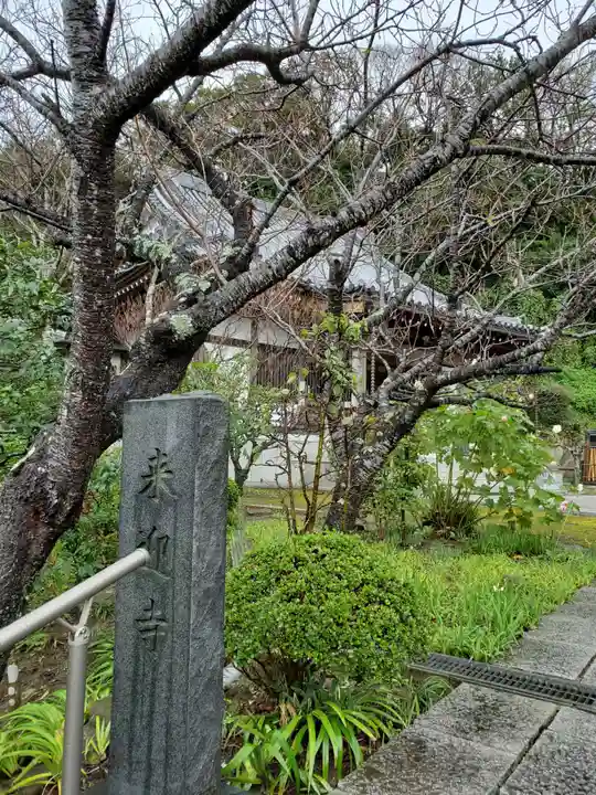 来迎寺(材木座)の自然