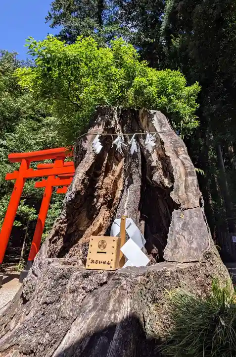 常磐神社(茨城県)