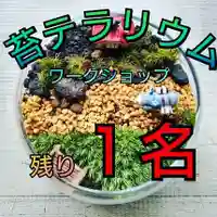 日蓮宗 総本山 塔頭 定林坊(じょうりんぼう)の体験その他