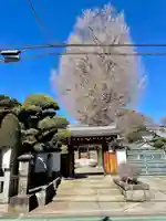 東光寺(東京都)