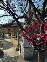 北野神社の{uncategorized: "未分類", other: "その他", undefined: "問題あり", building: "その他建物", grave: "お墓", sacred_gate: "鳥居", guardian: "狛犬", statue: "像", buddha: "仏像", history: "歴史", nature: "自然", garden: "庭園", animal: "動物", pagoda: "塔", temizu: "手水舎", mountain_gate: "山門・神門", sanctuary: "本殿・本堂", subordinate: "末社・摂社", art: "芸術", scenery: "景色", jizo: "地蔵", ema: "絵馬", goshuin: "御朱印", omikuji: "おみくじ", items: "授与品その他", amulet: "お守り", goshuincho: "御朱印帳", eats: "食事", festival: "お祭り", votive_dance: "神楽", shichigosan: "七五三参", wedding: "結婚式", experience: "体験その他", initially: "初詣", around: "周辺", anti_infection: "感染症対策"}