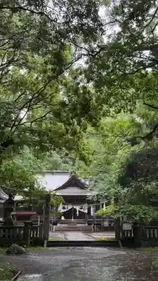 秦神社(高知県)
