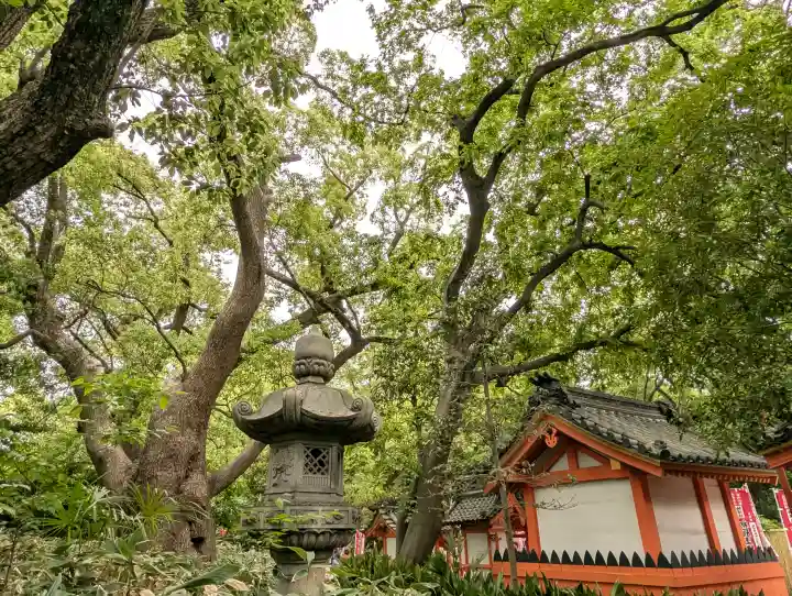 住吉大社(大阪府)