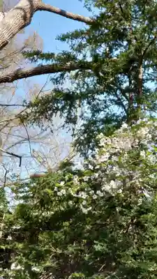 相馬神社(北海道)