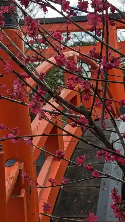 賀茂御祖神社(下鴨神社)(京都府)