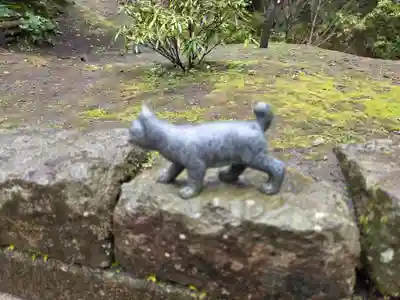 猫神社(鹿児島県)
