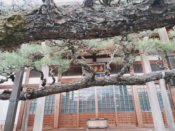 妙典寺の{uncategorized: "未分類", other: "その他", undefined: "問題あり", building: "その他建物", grave: "お墓", sacred_gate: "鳥居", guardian: "狛犬", statue: "像", buddha: "仏像", history: "歴史", nature: "自然", garden: "庭園", animal: "動物", pagoda: "塔", temizu: "手水舎", mountain_gate: "山門・神門", sanctuary: "本殿・本堂", subordinate: "末社・摂社", art: "芸術", scenery: "景色", jizo: "地蔵", ema: "絵馬", goshuin: "御朱印", omikuji: "おみくじ", items: "授与品その他", amulet: "お守り", goshuincho: "御朱印帳", eats: "食事", festival: "お祭り", votive_dance: "神楽", shichigosan: "七五三参", wedding: "結婚式", experience: "体験その他", initially: "初詣", around: "周辺", anti_infection: "感染症対策"}