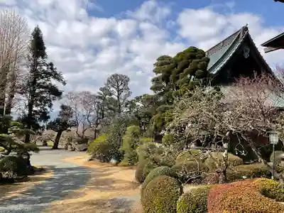 瑞雲寺(神奈川県)