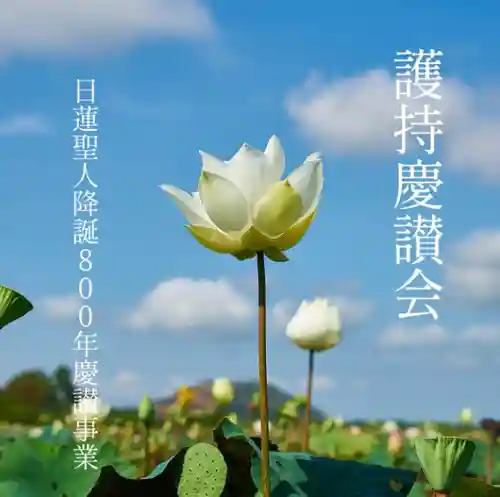 龍光寺(兵庫県)