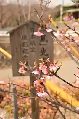 宮地嶽神社(福岡県)