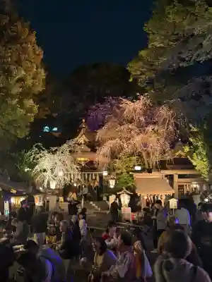 子安神社の{uncategorized: "未分類", other: "その他", undefined: "問題あり", building: "その他建物", grave: "お墓", sacred_gate: "鳥居", guardian: "狛犬", statue: "像", buddha: "仏像", history: "歴史", nature: "自然", garden: "庭園", animal: "動物", pagoda: "塔", temizu: "手水舎", mountain_gate: "山門・神門", sanctuary: "本殿・本堂", subordinate: "末社・摂社", art: "芸術", scenery: "景色", jizo: "地蔵", ema: "絵馬", goshuin: "御朱印", omikuji: "おみくじ", items: "授与品その他", amulet: "お守り", goshuincho: "御朱印帳", eats: "食事", festival: "お祭り", votive_dance: "神楽", shichigosan: "七五三参", wedding: "結婚式", experience: "体験その他", initially: "初詣", around: "周辺", anti_infection: "感染症対策"}