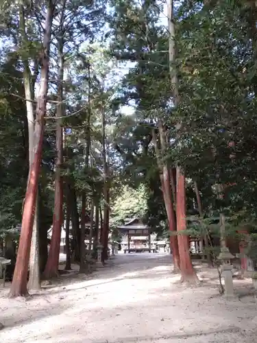 比良天満宮・樹下神社の建物その他