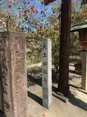 天王坊稲荷神社(岐阜県)